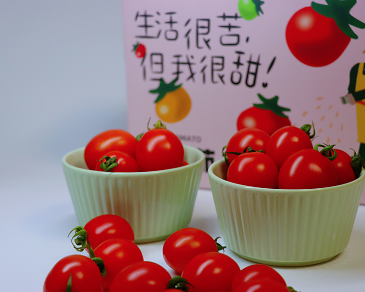 IMG_3881.png