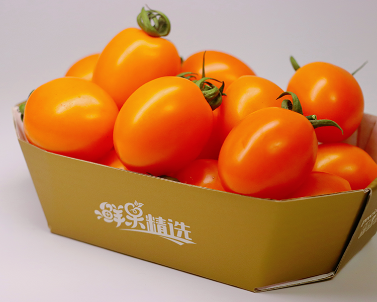 IMG_3838.png