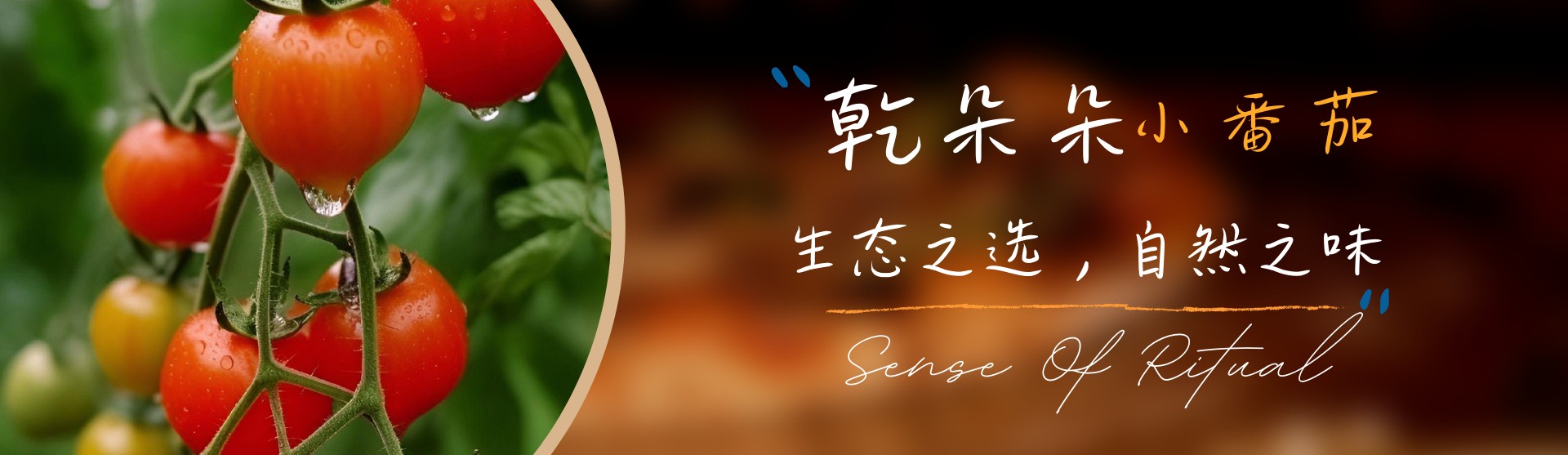 通栏图片
